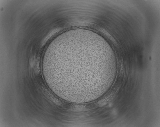 X0000082700878200702091720