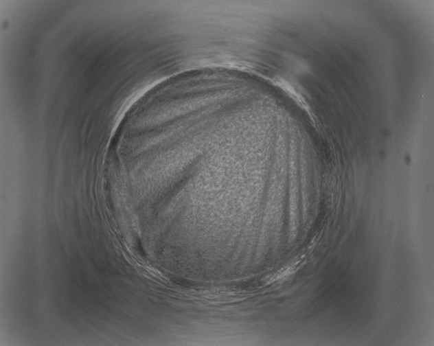 X0000082700879200702091720