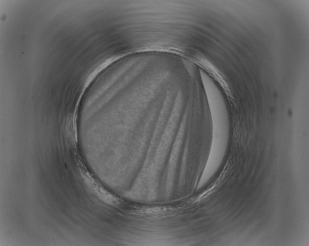 X0000082700892200702091720