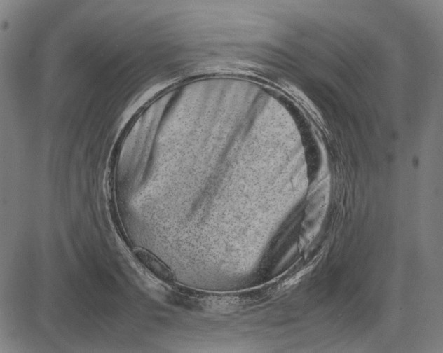X0000082700893200702091719