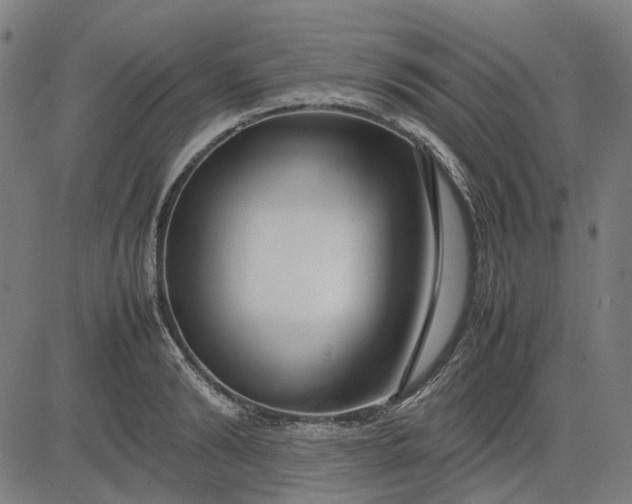 X0000082700894200702091719