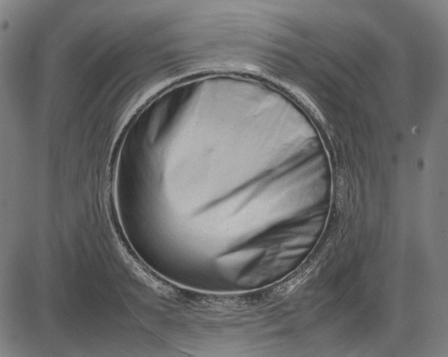 X0000082700895200702091719