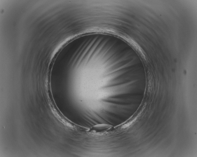 X0000082700896200702091719