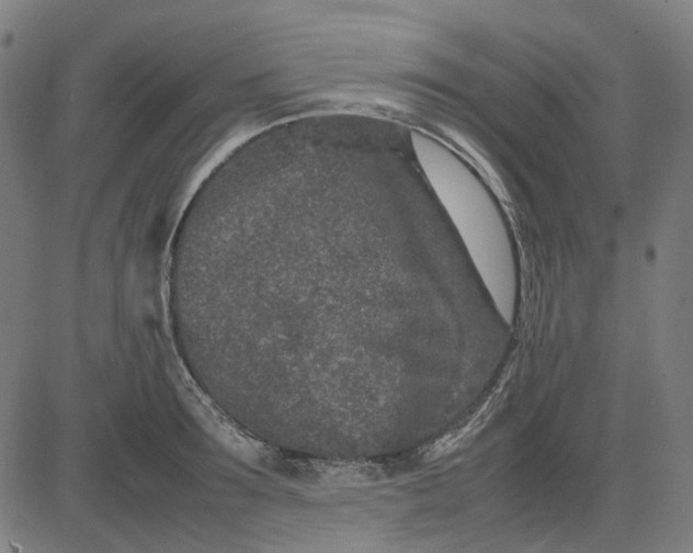 X0000082700899200702091719