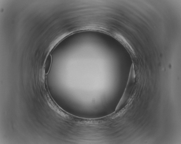 X0000082700900200702091719