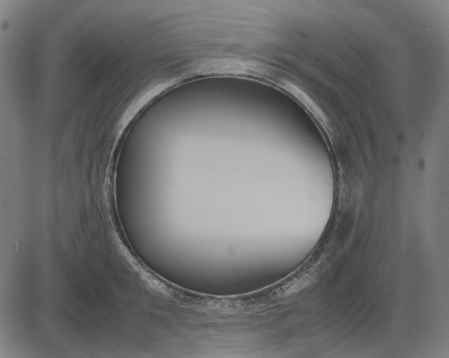 X0000082700901200702091719