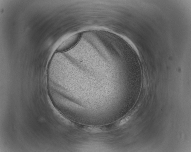 X0000082700911200702091719