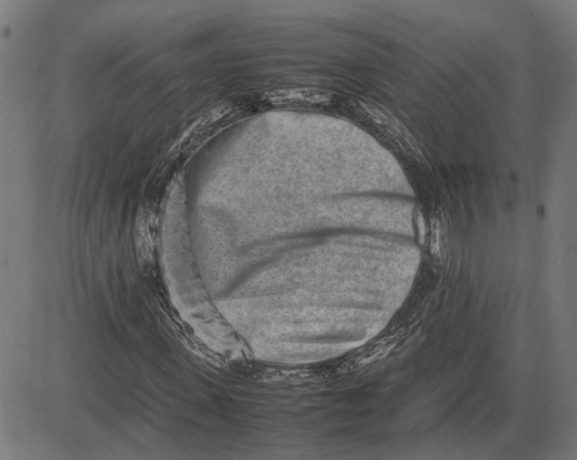 X0000082700915200702091718