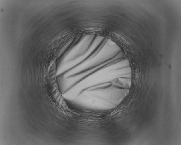 X0000082700917200702091718