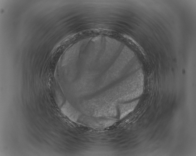 X0000082700919200702091718