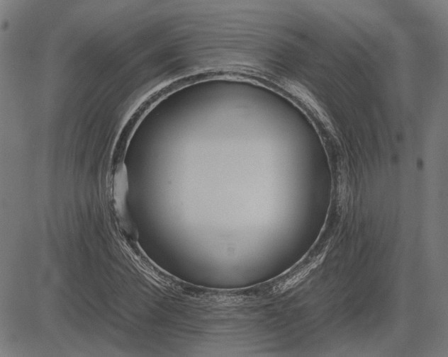 X0000082700924200702091719