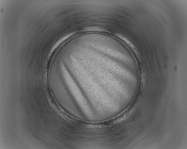 X0000082700933200702091719