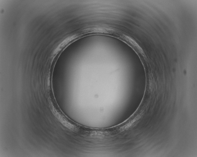 X0000082700938200702091719