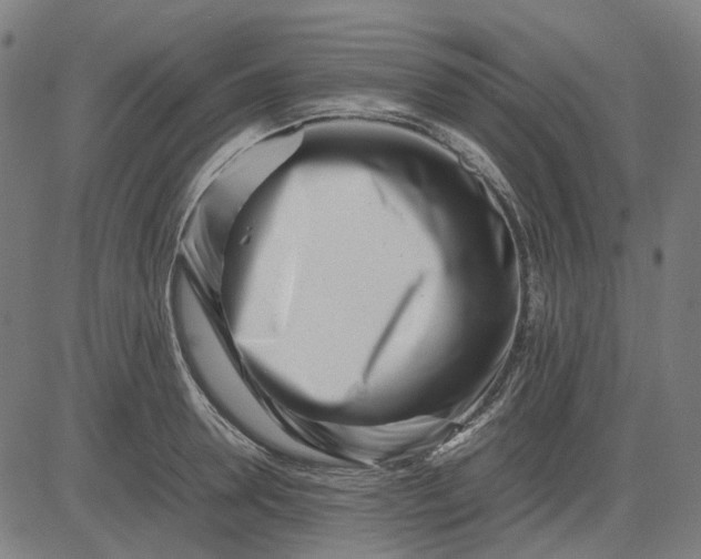 X0000082700946200702091719