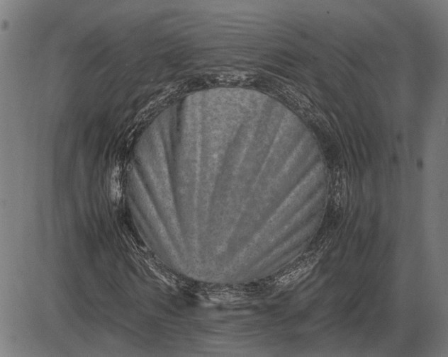 X0000082700962200702091718