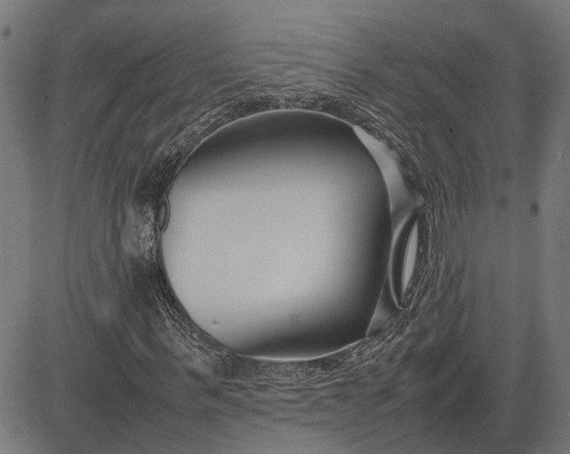 X0000082700963200702091718