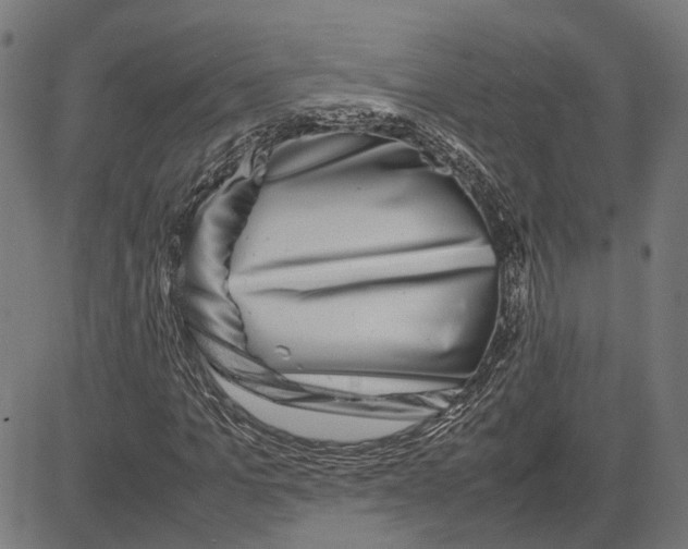 X0000082700965200702091718