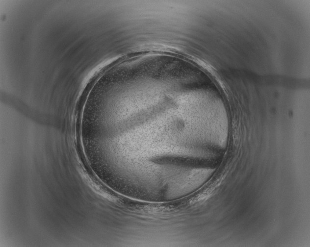 X0000082700987200702091718