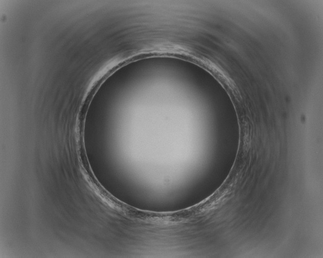 X0000082700990200702091718