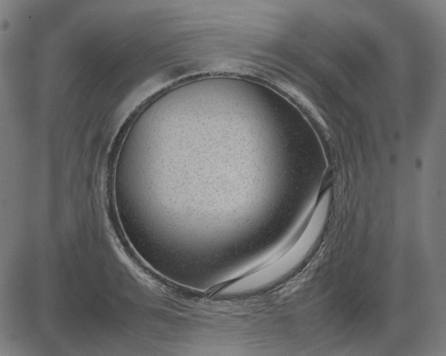 X0000082700991200702091718