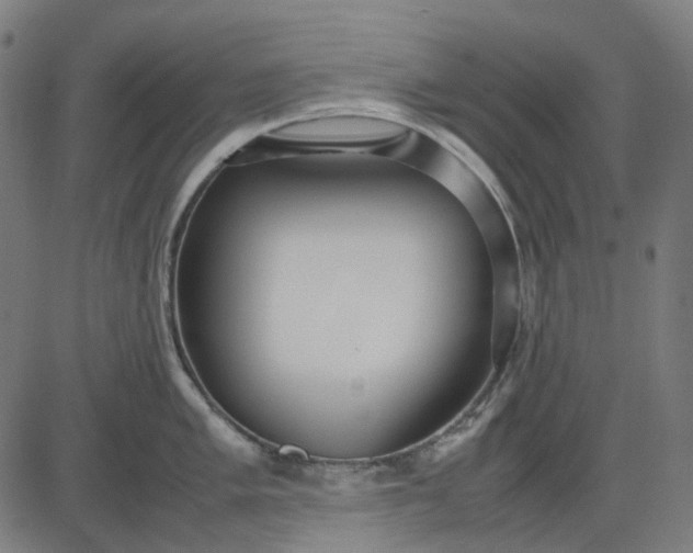 X0000082701005200702091718