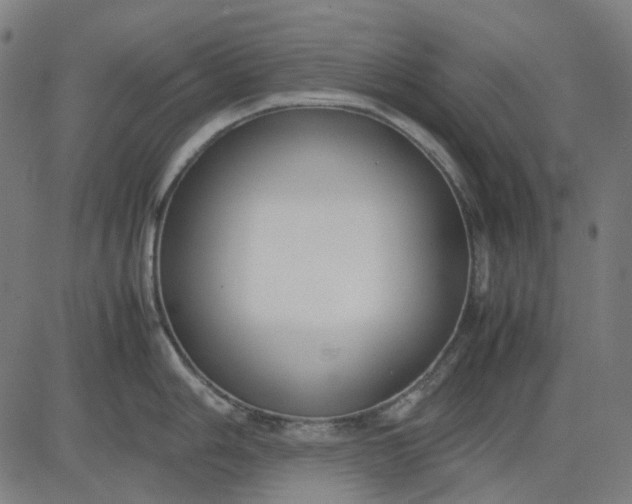 X0000082701006200702091718
