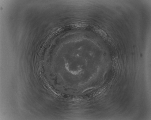 X0000082701009200702091717