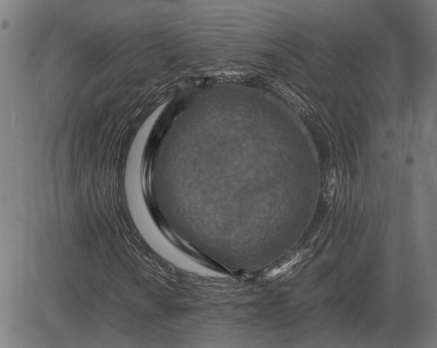 X0000082701010200702091717