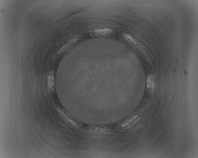 X0000082701011200702091717