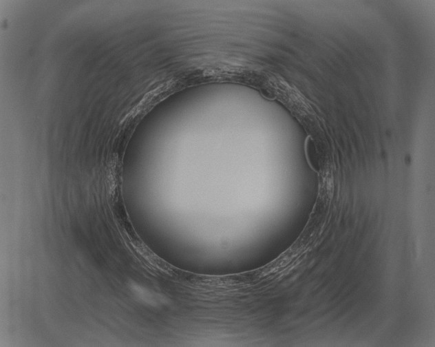X0000082701012200702091717
