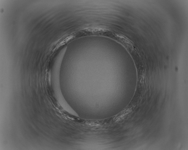 X0000082701014200702091717