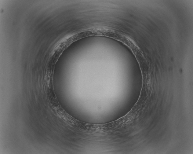 X0000082701016200702091717