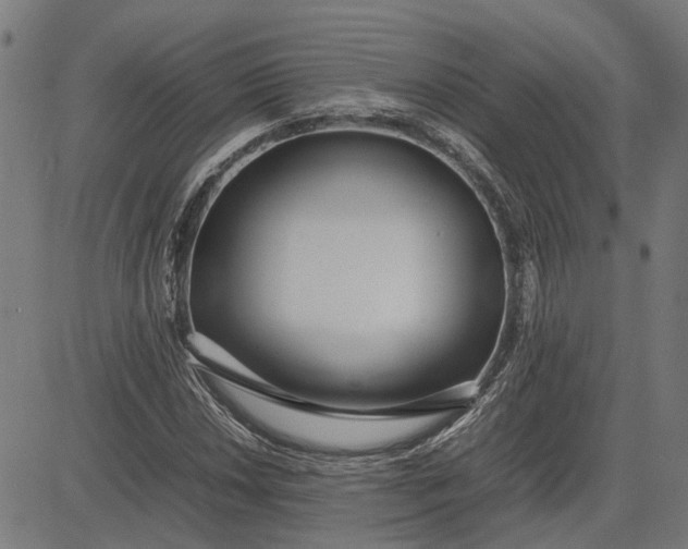 X0000082701018200702091717