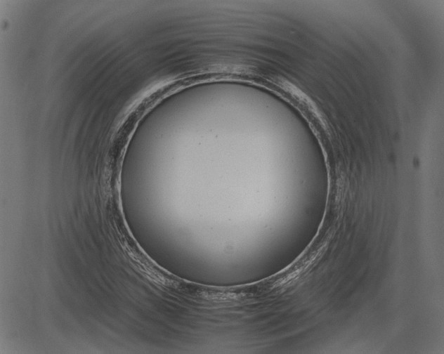 X0000082701019200702091717
