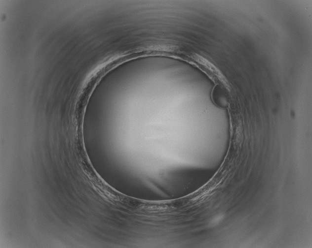 X0000082701027200702091717