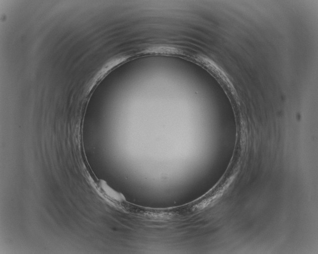 X0000082701041200702091717