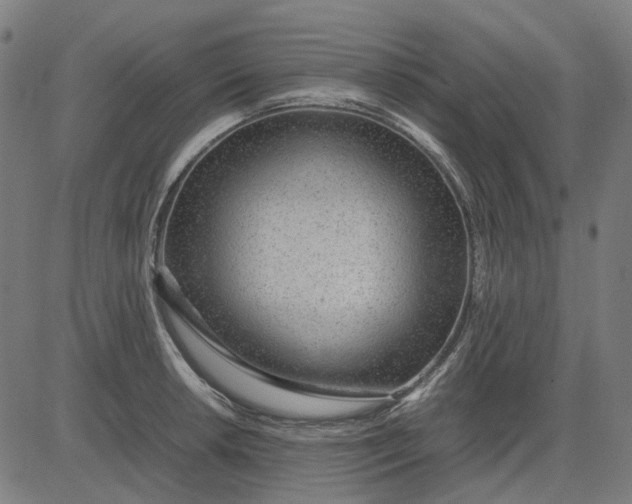 X0000082701042200702091717