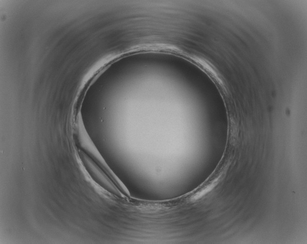 X0000082701046200702091717