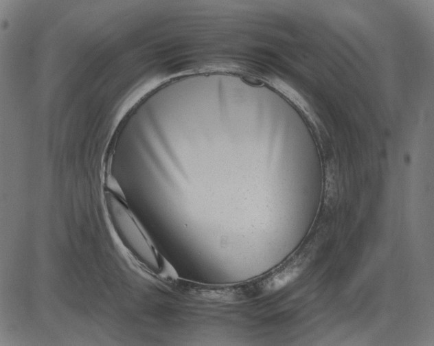 X0000082701047200702091717