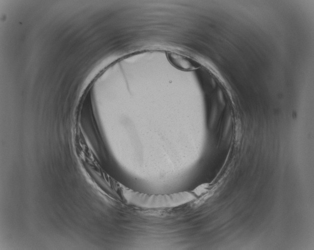 X0000082701048200702091717