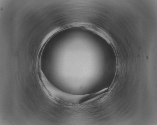 X0000082701050200702091718