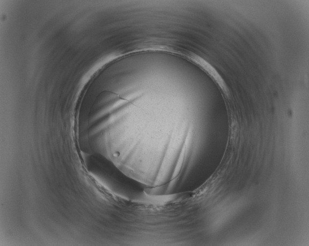X0000082701051200702091718