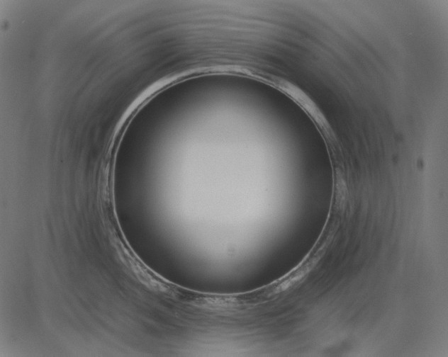 X0000082701052200702091718