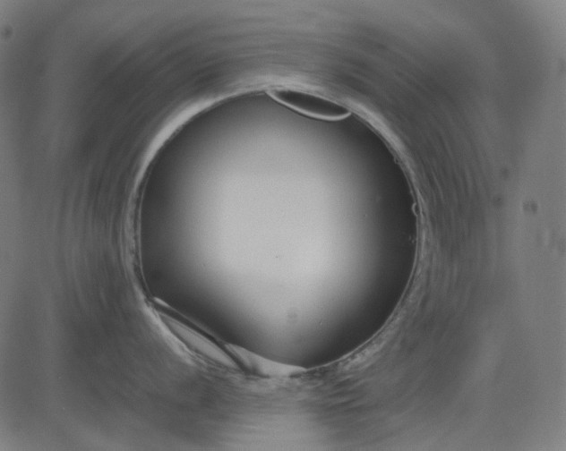X0000082701056200702091718