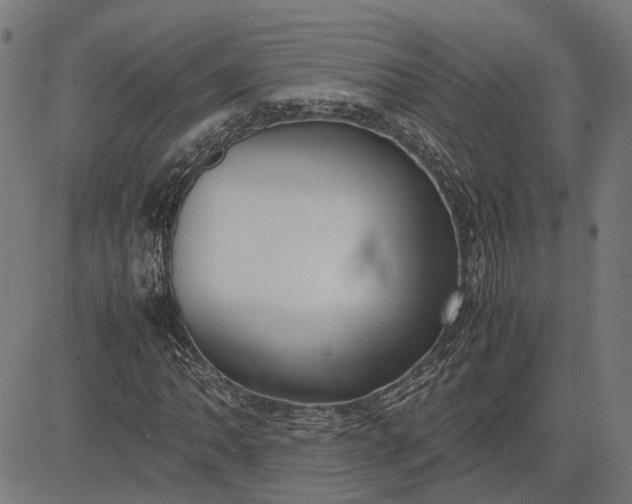 X0000082701062200702091717