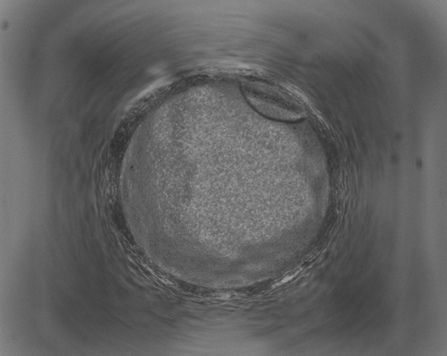 X0000082701063200702091717