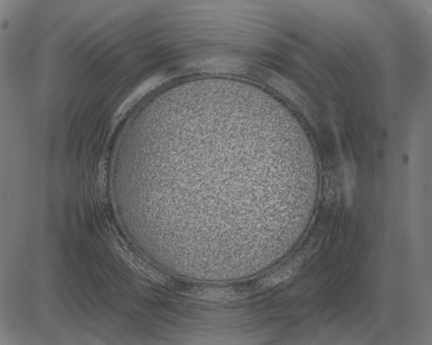 X0000082701074200702091717