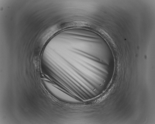 X0000082701081200702091716