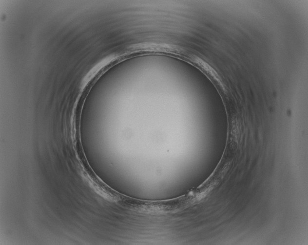 X0000082701082200702091716