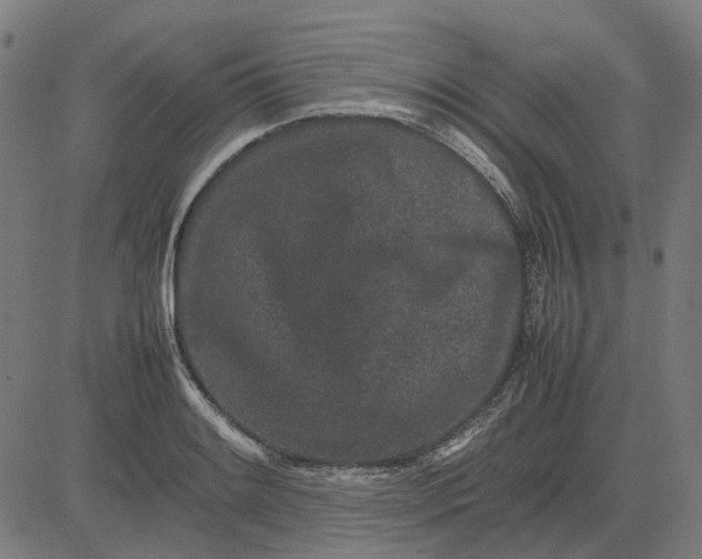 X0000082701084200702091716